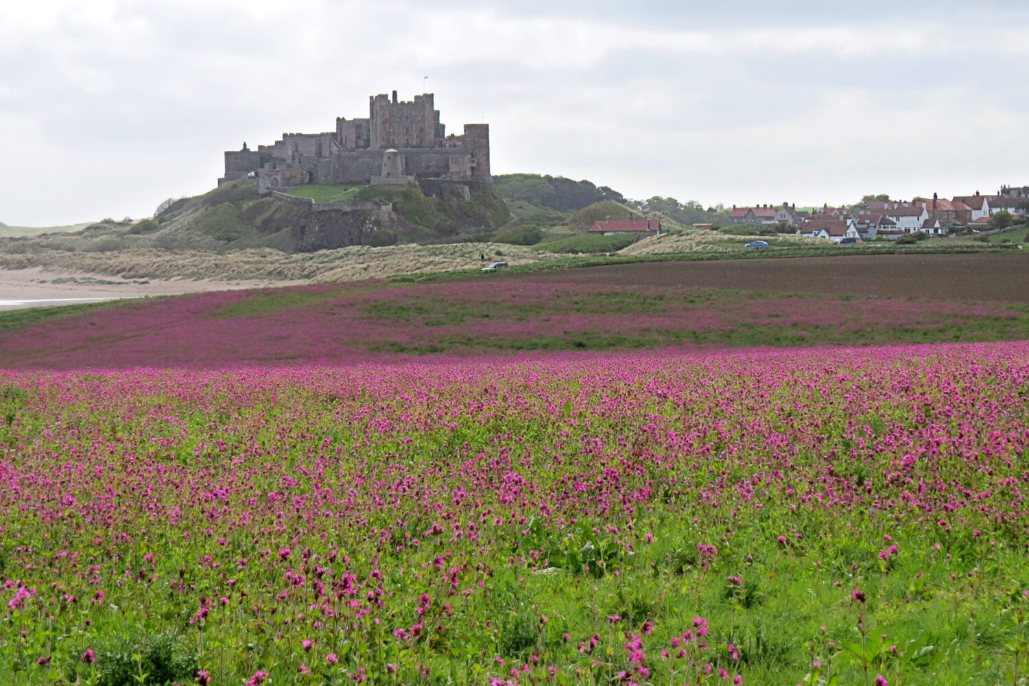 northumbria