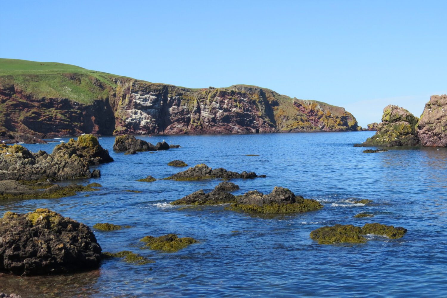The rugged coastline of Northunbria
